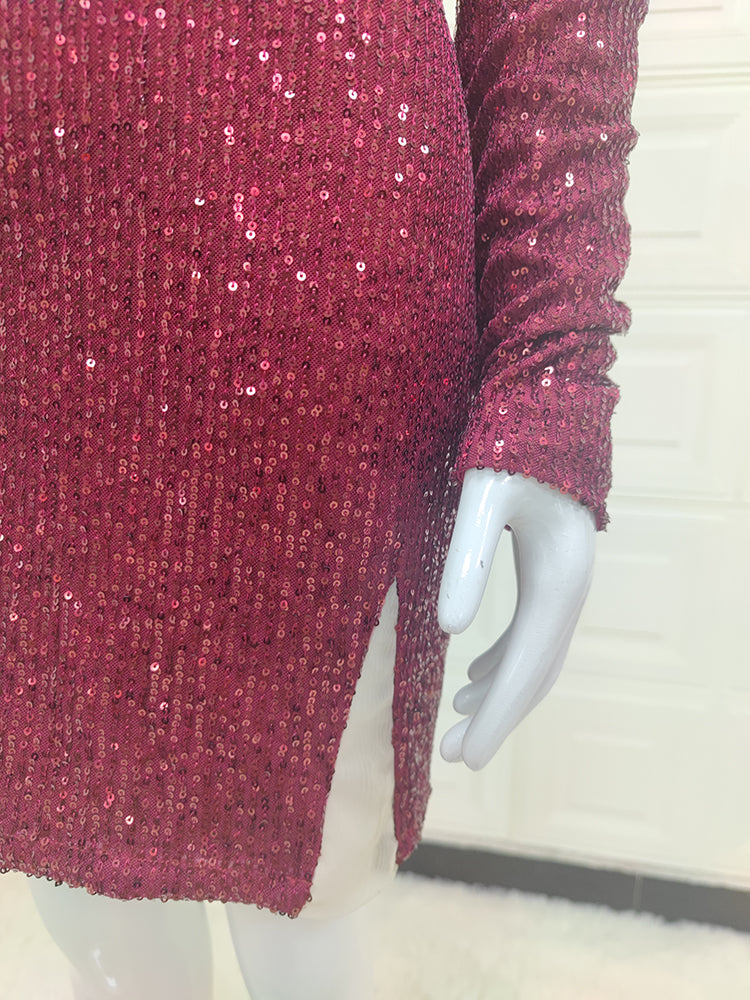 Long Sleeve Shimmering Mini Dress