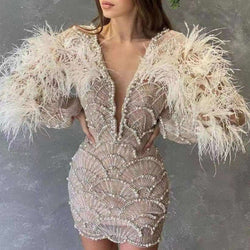 Feather Mesh Mini Long Sleeve Bodycon Dress